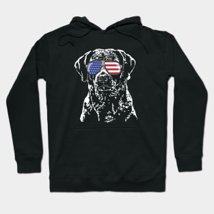 Patriotic Chesapeake Bay Retriever American Flag sunglasses Hoodie